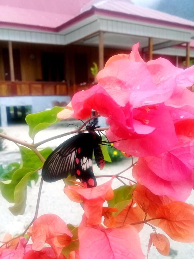 Rumah Olat Nusa Nalan Beach Resort מראה חיצוני תמונה
